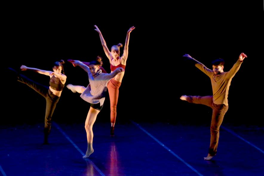 Gala VIIIº Certamen Día Mundial de la Danza ADAE - Grupo de bailarines clásicos.