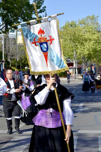 XVIIº Encuentro de Gaitas - Imagen primer plano de una persona llevando el estandarte de su agrupación.