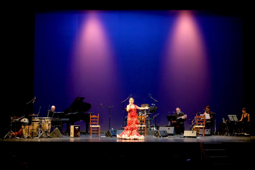 Semana del Mayor 2017 - Gala Homenaje a Nuestros Mayores - Imagen panorámica del del escenario en un momento de la actuación de la cantante.