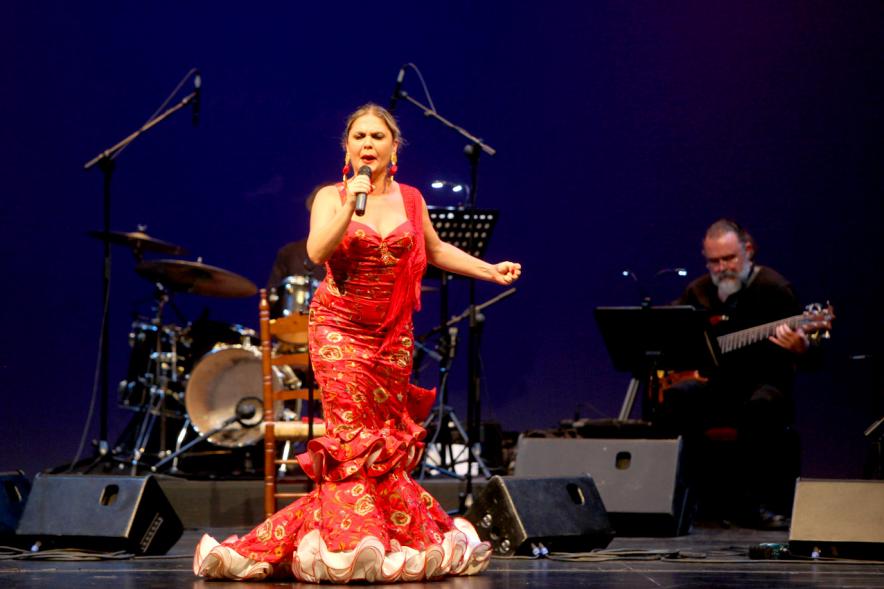 Semana del Mayor 2017 - Gala Homenaje a Nuestros Mayores - Imagen de un momento de la actuación de una cantante.