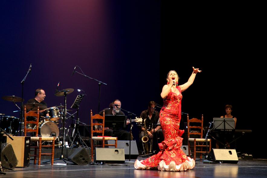 Semana del Mayor 2017 - Gala Homenaje a Nuestros Mayores - Imagen de un momento de la actuación de una cantante.