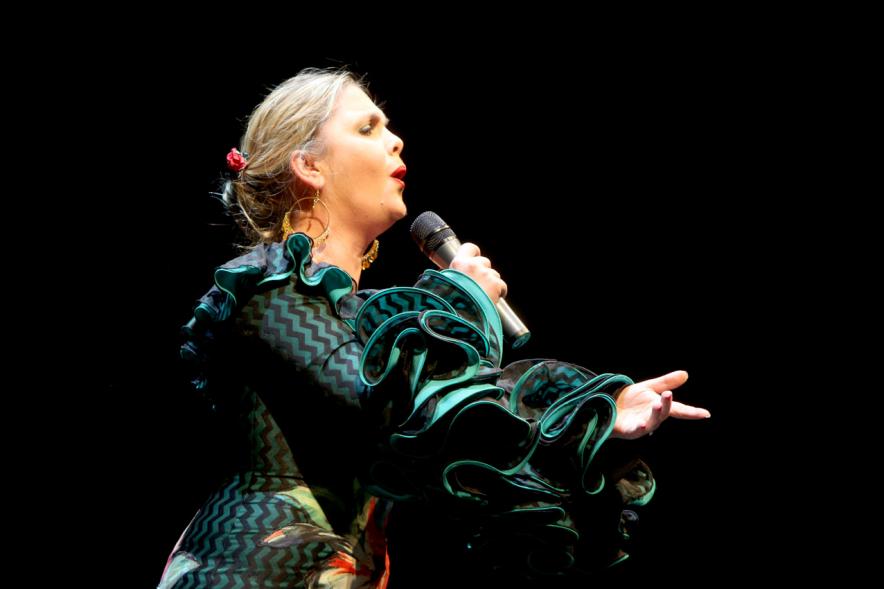 Semana del Mayor 2017 - Gala Homenaje a Nuestros Mayores - Imagen de un momento de la actuación de una cantante.