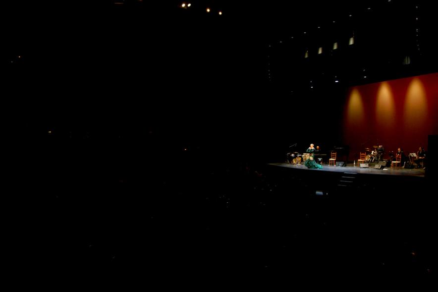 Semana del Mayor 2017 - Gala Homenaje a Nuestros Mayores - Imagen panorámica del del escenario en un momento de la actuación de la cantante.