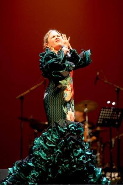 Semana del Mayor 2017 - Gala Homenaje a Nuestros Mayores - Imagen de un momento de la actuación de una cantante.