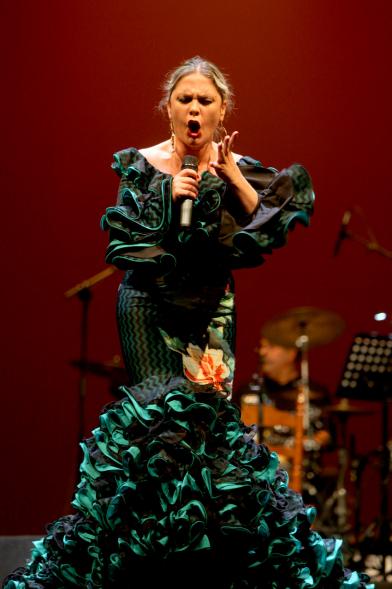 Semana del Mayor 2017 - Gala Homenaje a Nuestros Mayores - Imagen de un momento de la actuación de una cantante.