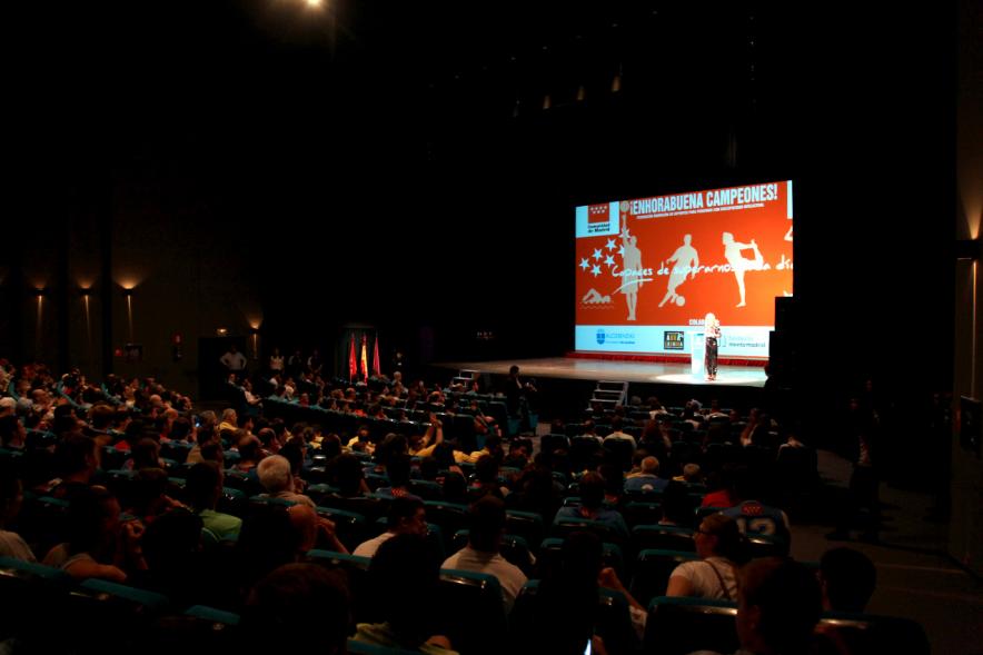 Gala FEMADDI - Imagen del público asistente a la gala.