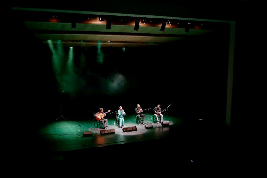 Gala Flamenca en el Auditorio Paco de Lucía - Vista general del escenario durante actuación cantantes flamenco.