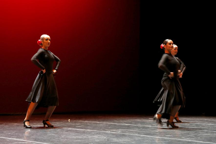 Gala APAMA 2019 - Primer plano de una  Coreografía flamenca.