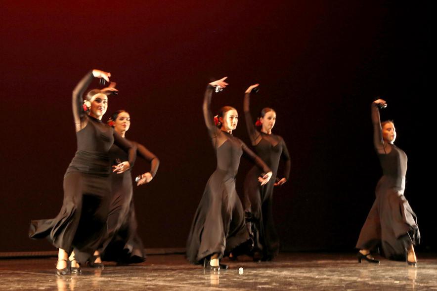 Gala APAMA 2019 -Panorámica del escenario con una coreografía flamenca.