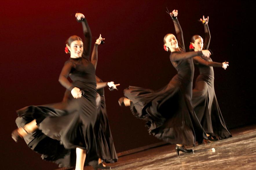 Gala APAMA 2019 - Primer plano de una  Coreografía flamenca.