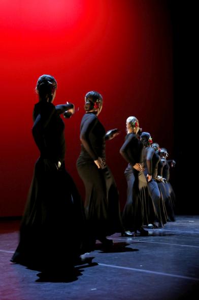 Gala APAMA 2019 - Primer plano de una coreografía flamenca. 