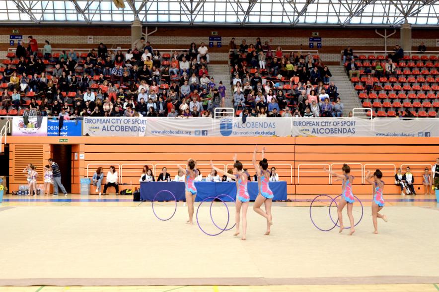 Equipo participante en disciplina de aros