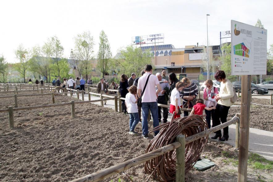 Entrega de Llaves de Huertos Urbanos en Arroyo de La Vega - Vista trasera de los huertos.