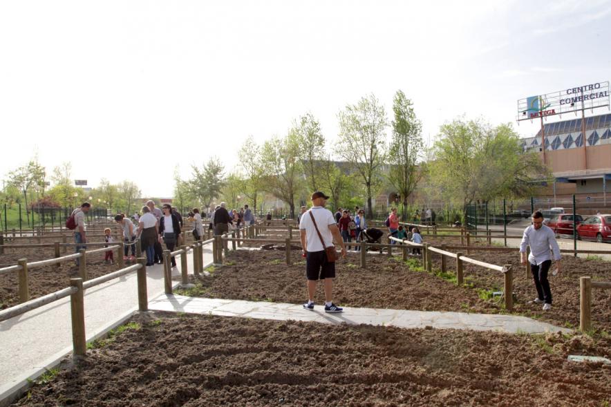 Entrega de Llaves de Huertos Urbanos en Arroyo de La Vega -Imagen de los vecinos en sus huertos.
