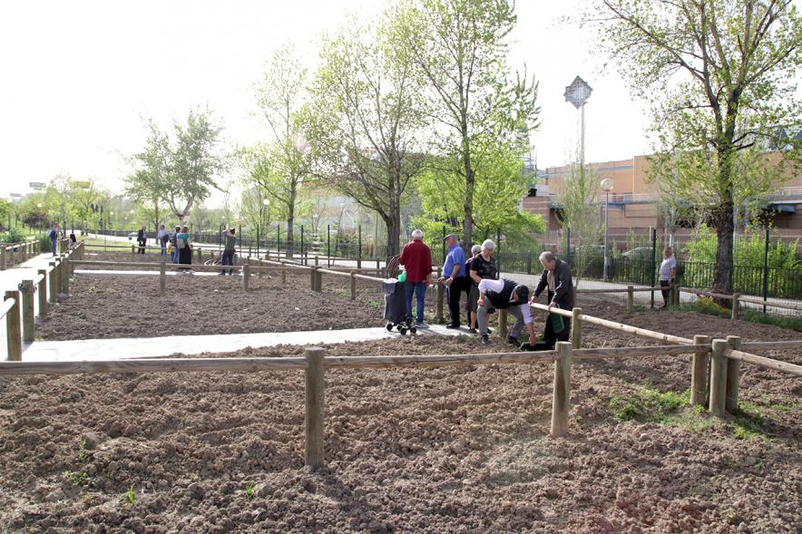 Entrega de Llaves de Huertos Urbanos en Arroyo de La Vega - Imagen de las autoridades municipales visitando los huertos.