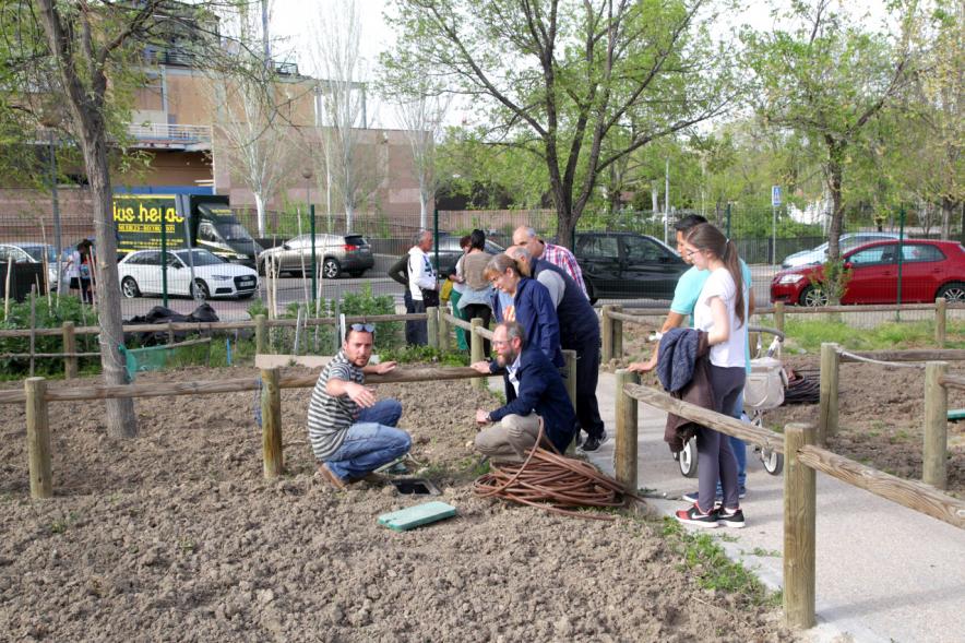 Entrega de Llaves de Huertos Urbanos en Arroyo de La Vega -  Imagen de unos vecinos trabajando en sus huertos.