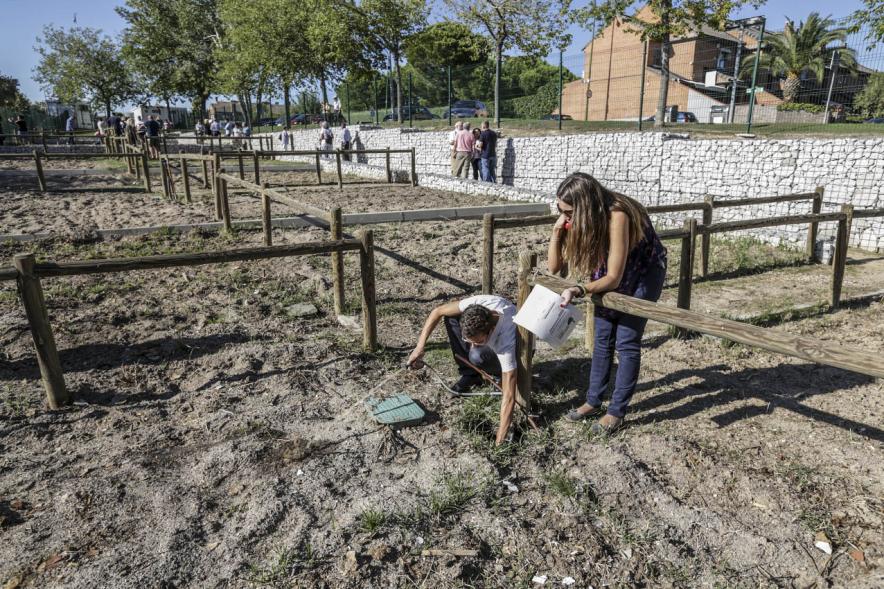  Huertos Urbanos Parque de Andalucía -2019