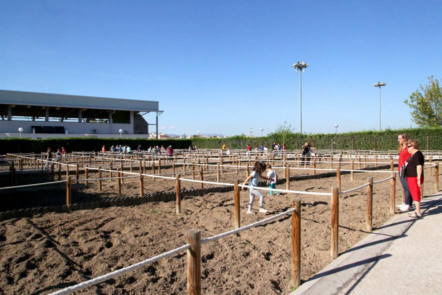 Entrega Llaves Huertos Urbanos Parque de Extremadura - Imagen de los huertos urbanos.