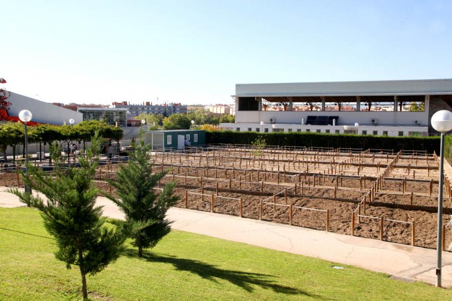 Entrega Llaves Huertos Urbanos Parque de Extremadura - Imagen panorámica de los huertos urbanos.