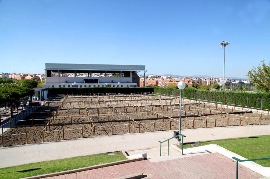 Entrega Llaves Huertos Urbanos Parque de Extremadura - Imagen panorámica de los huertos urbanos.