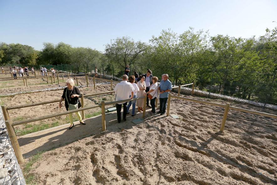 Vista de la parcela. Entrega de Llaves Huertos Urbanos Parque de Andalucía - 2019