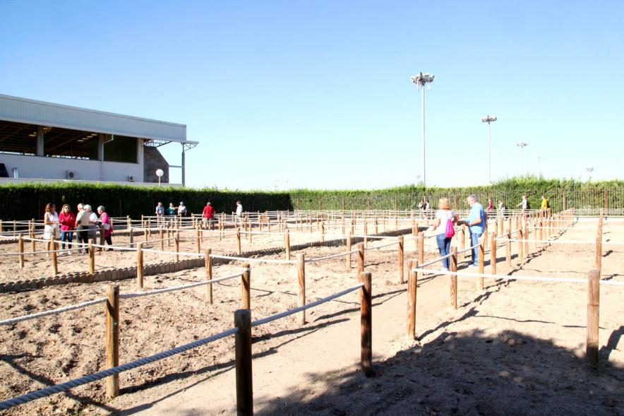 Entrega Llaves Huertos Urbanos Parque de Extremadura - Imagen panorámica de los huertos urbanos.