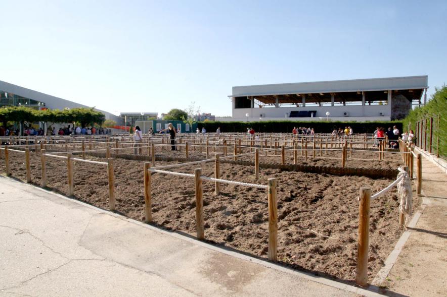 Entrega Llaves Huertos Urbanos Parque de Extremadura - Imagen panorámica de los huertos urbanos.