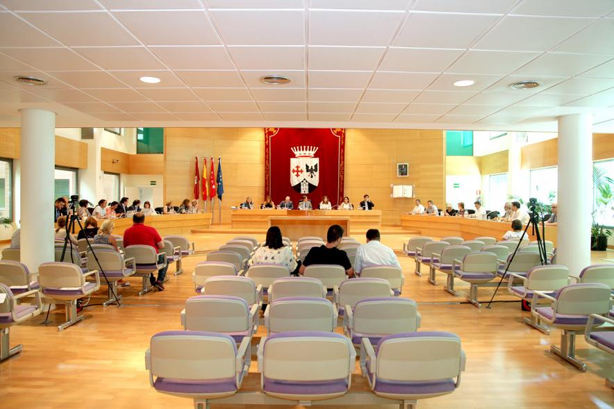 Sesión plenaria vista desde el fondo del salón de plenos