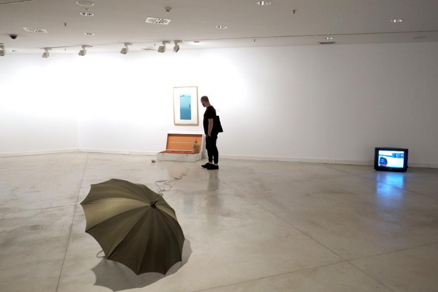 Inauguración Exposiciones de Carlos Vallejo y Nacho Martín - La exposición .