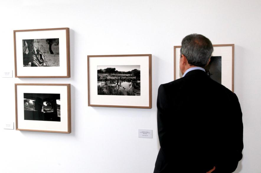 Inauguración Exposición "Cazando Imágenes con Miguel Delibes" -  Un visitante 