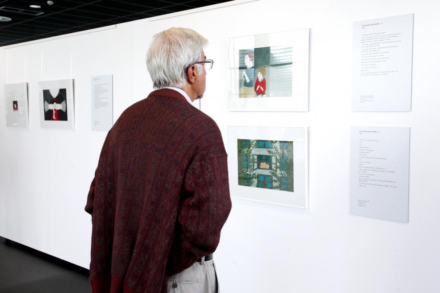 Inauguración Exposición Patria Común - Delibes Ilustrado - Imagen de una persona admirando las ilustraciones.