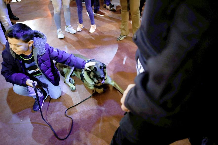 Fiesta Celebración Día Internacional de los Derechos de la Infancia - Imagen de un niño acariciando a un perro policía.