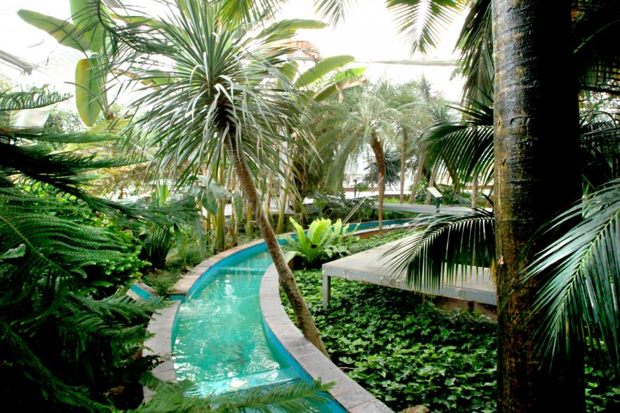 rio artificial en el interior del invernadero público del Jardín Botánico en el Arroyo de la vega