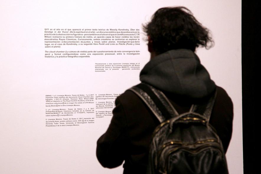 Inauguración Exposición "La Cámara de Niebla" de Linarejos Moreno - Imagen de una visita junto a la obra.