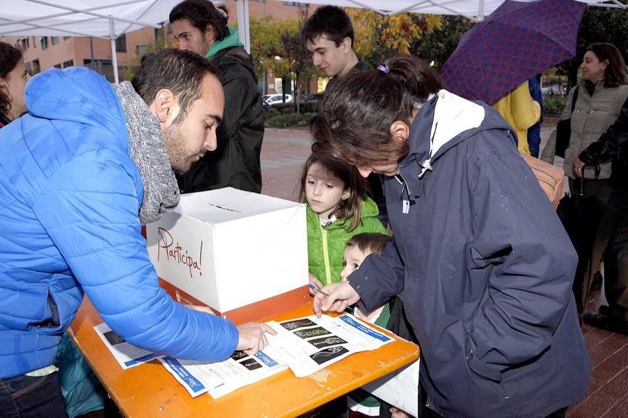 Proceso Participativo Elección Luces de Navidad -Grupo de participantes. 