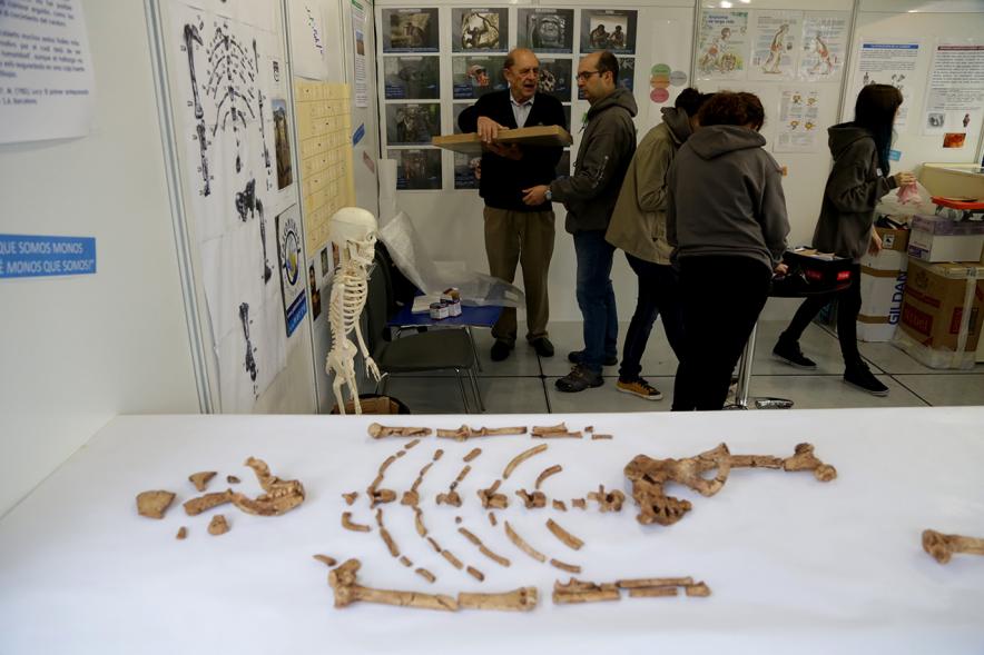 Inauguración Finde Científico del MUNCYT -  Zona de experimentos.