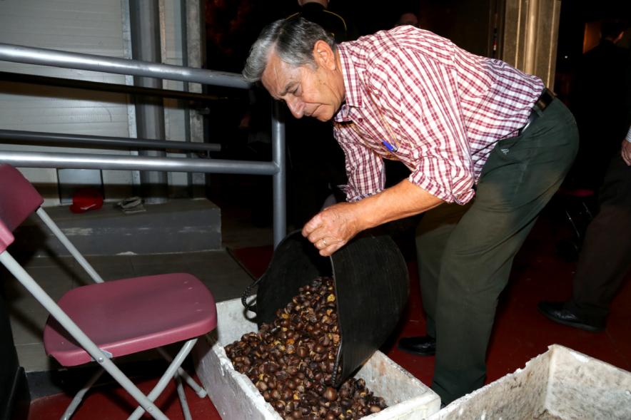 Fiesta del Mangosto de la Xuntanza de Galegos 2016 - Imagen de persona con las brasas de la hoguera, sacando las castañas asadas.