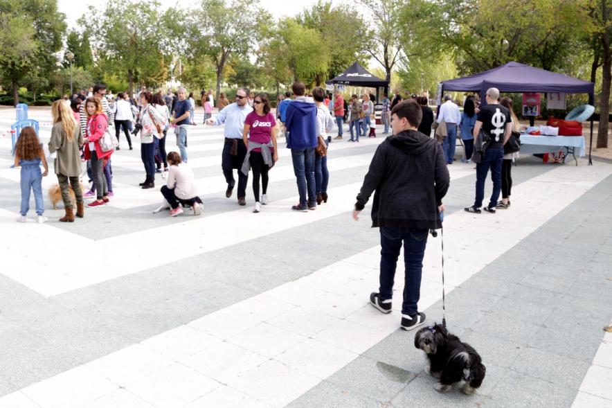 Feria de Adopción de Mascotas - Imagen de personas paseando perros, los satands montados para la feria y público asistente.