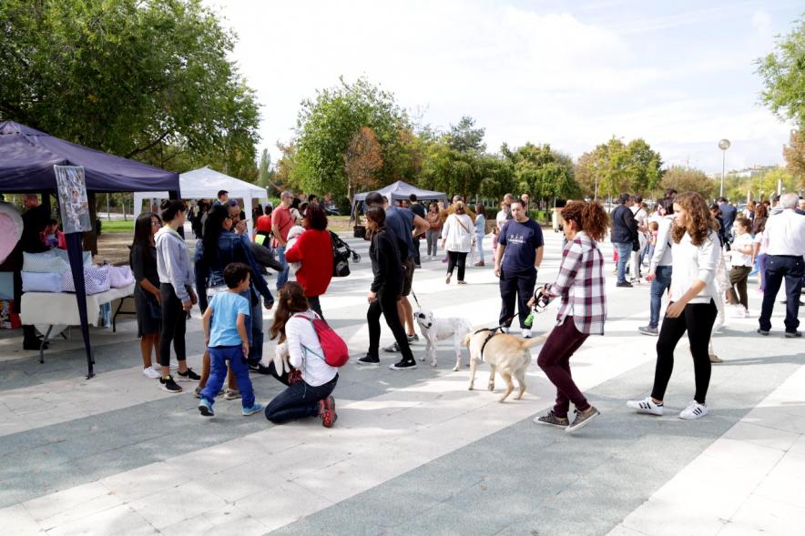 Feria de Adopción de Mascotas - Imagen de personas paseando perros, los satands montados para la feria y público asistente.