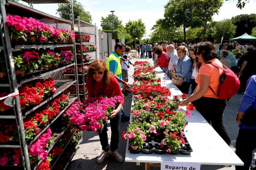 Día del Medio Ambiente 2018 - Gran cantidad de plantas para los visitantes.