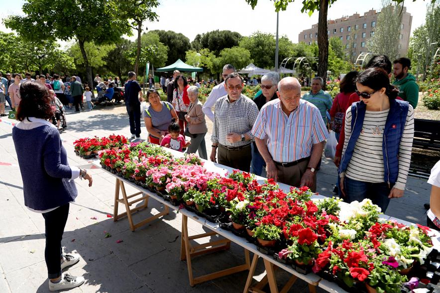 Día del Medio Ambiente 2018 - Imagen de la mesa con las plantas para repartir.