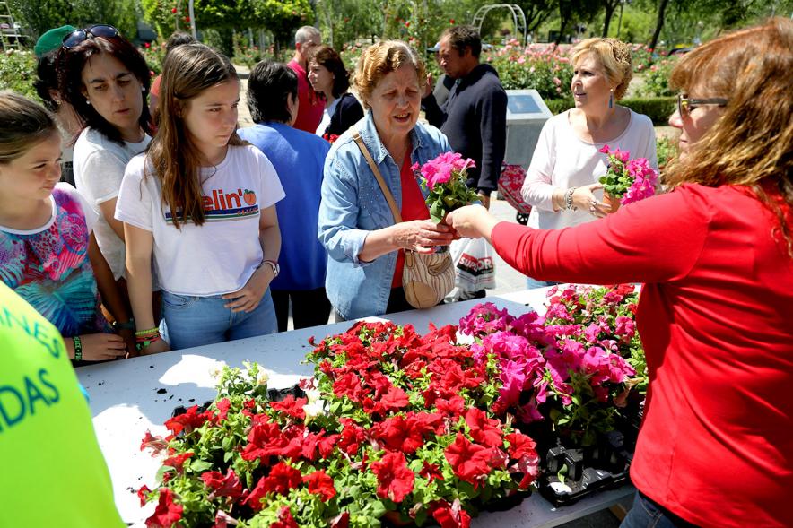 Día del Medio Ambiente 2018 - Reparto de plantas.