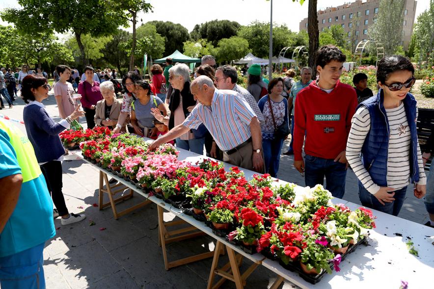 Día del Medio Ambiente 2018 - Imagen de una mesa con plantas y muchos  visitantes.