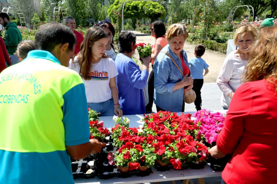 Día del Medio Ambiente 2018 - Imagen de una mesa con plantas y muchos  visitantes.