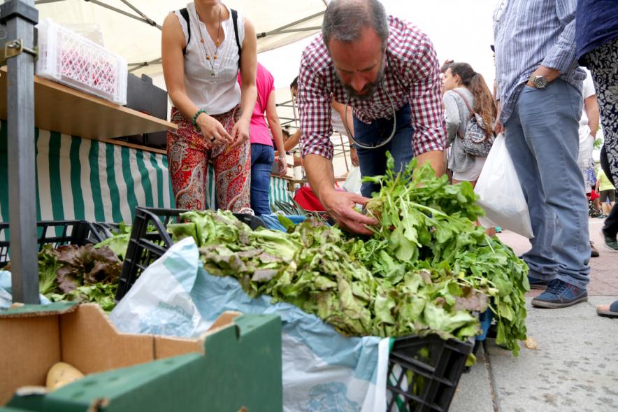Puesto de verduras, productos locales. 