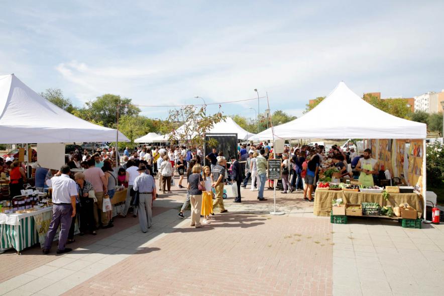 Vista general del Mercado Agroecológico - 2019