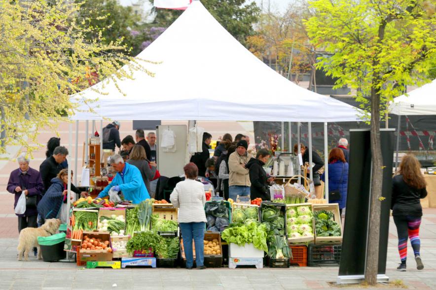 Clientes comprando en puesto de hortalizas. Mercado Agroecológico -2019