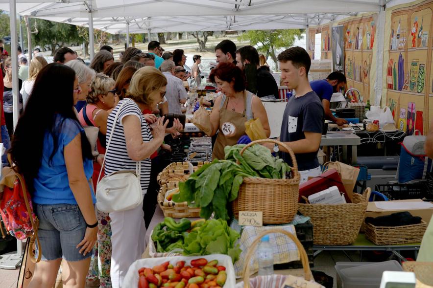 Clientes en puesto de hortalizas. Mercado Agroecológico 2019