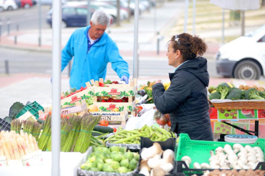 Puesto de hortalizas. Mercado Agroecológico -2019