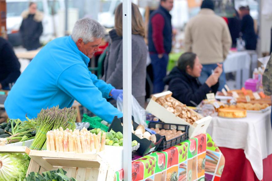 Puesto de hortalizas. Mercado Agroecológico - 2019